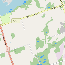 PT Prediction Portal | Live Bus And Route Information